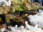 27th Nov 2013 - Frozen Fountain