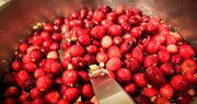 27th Nov 2013 - Cranberry Relish