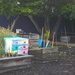 Children's garden - Kindergarten by kiwinanna