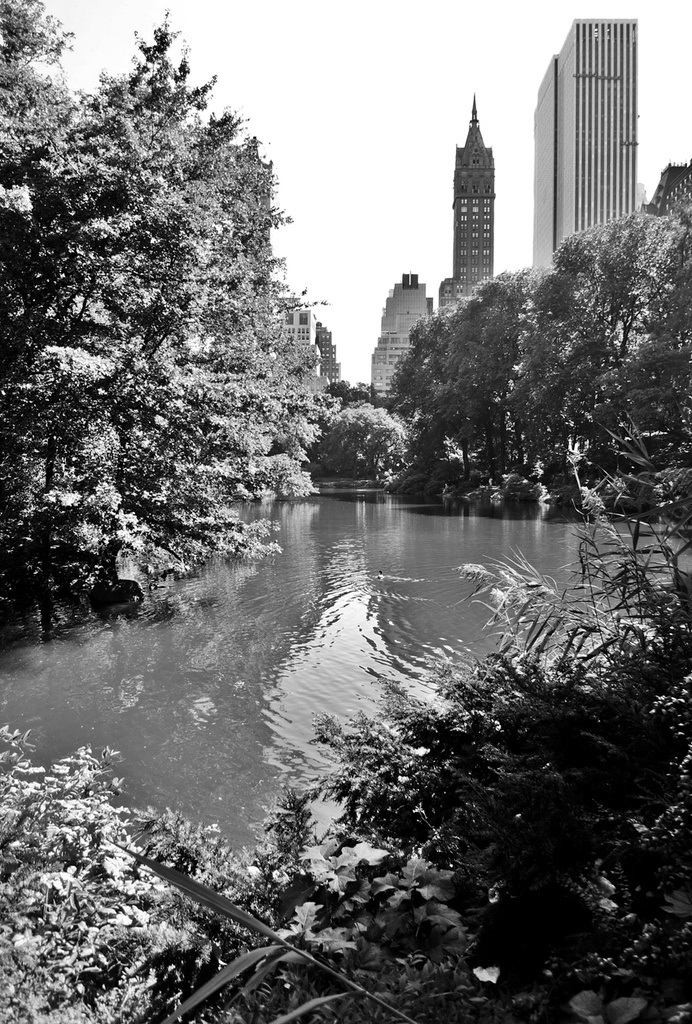 Central Park Pond by soboy5