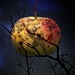 Apple Moon. by gamelee