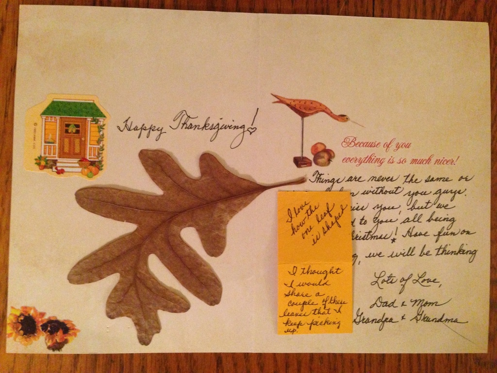 thanksgiving letters by wiesnerbeth