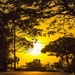 school road sunset by corymbia