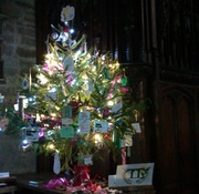 29th Nov 2013 - The Transition Tavistock Christmas tree