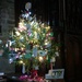 The Transition Tavistock Christmas tree by jennymdennis
