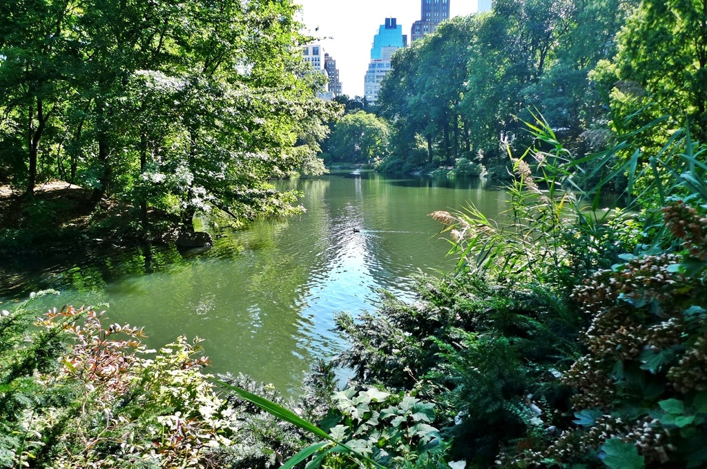 Central Park Pond in color by soboy5