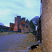 The cat at the castle... by snowy