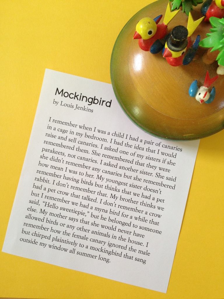 mockingbirds and memories by wiesnerbeth