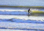 29th Nov 2013 - Surfing USA!
