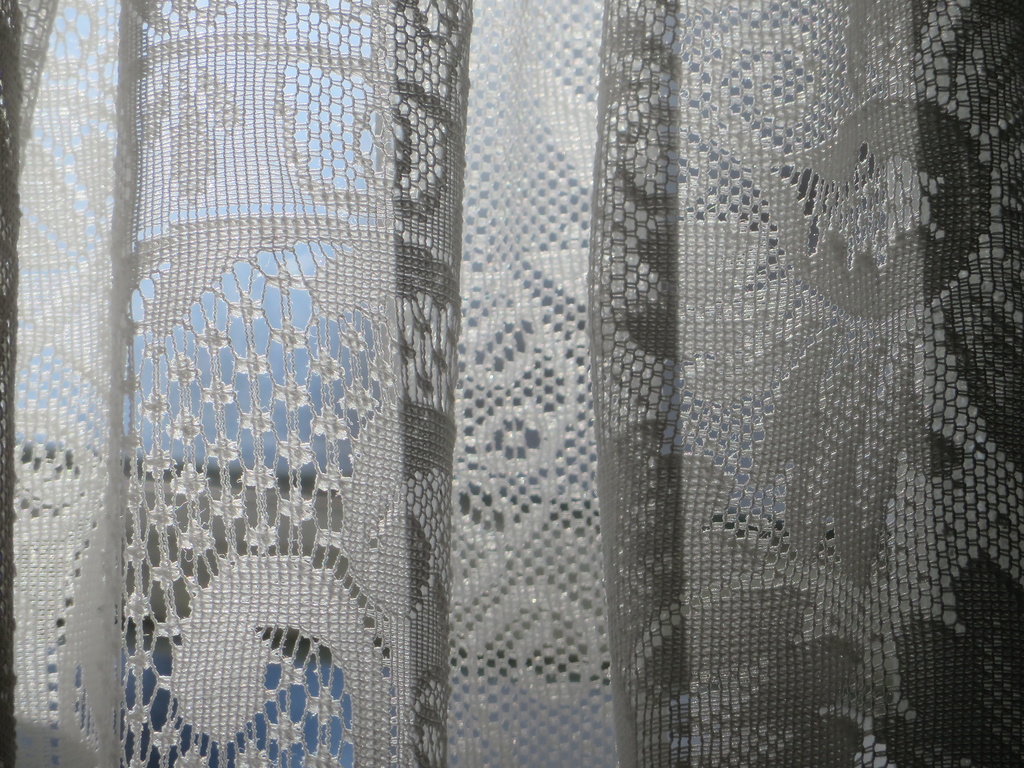 Lace Curtain by rosiekerr