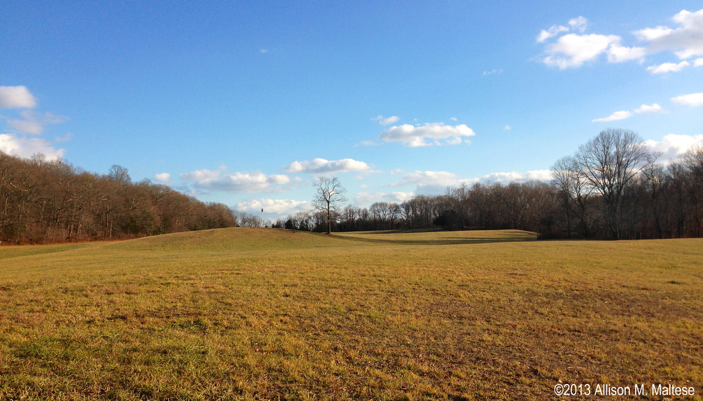 East River Preserve by falcon11