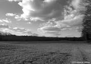 29th Nov 2013 - East River Preserve #2