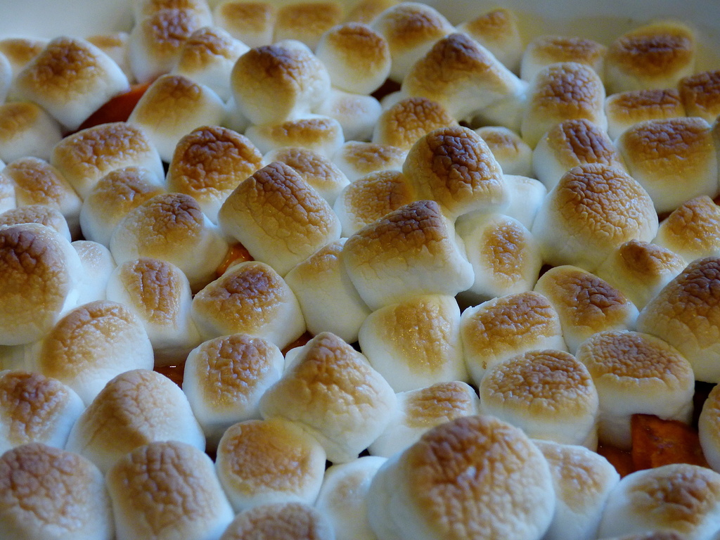 Mmm-marshmallows! by princessleia