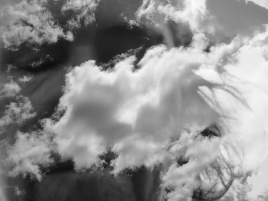 Head in the clouds by wenbow