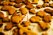 30th Nov 2013 - Gingerbreads