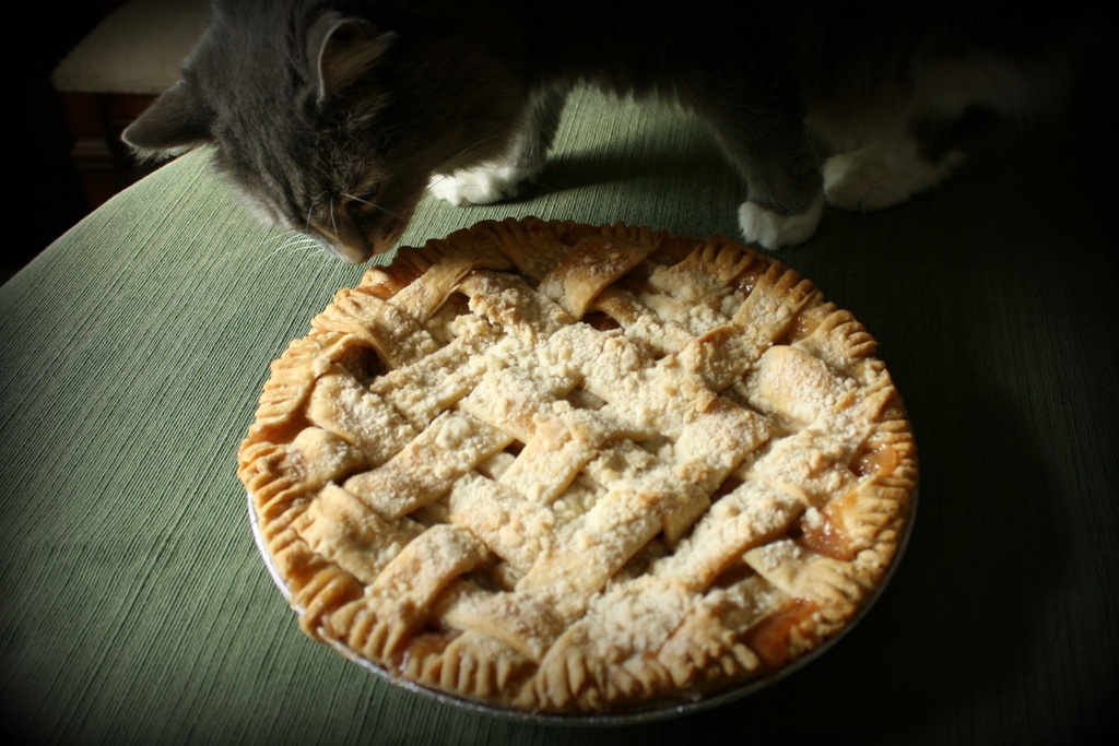 Homemade apple pie by mittens