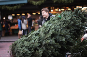 30th Nov 2013 -  Today At Pike Place Market In Seattle The Trees Were Selling Fast...