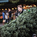 Today At Pike Place Market In Seattle The Trees Were Selling Fast... by seattle
