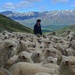 Farm Boy and sheep by yaorenliu