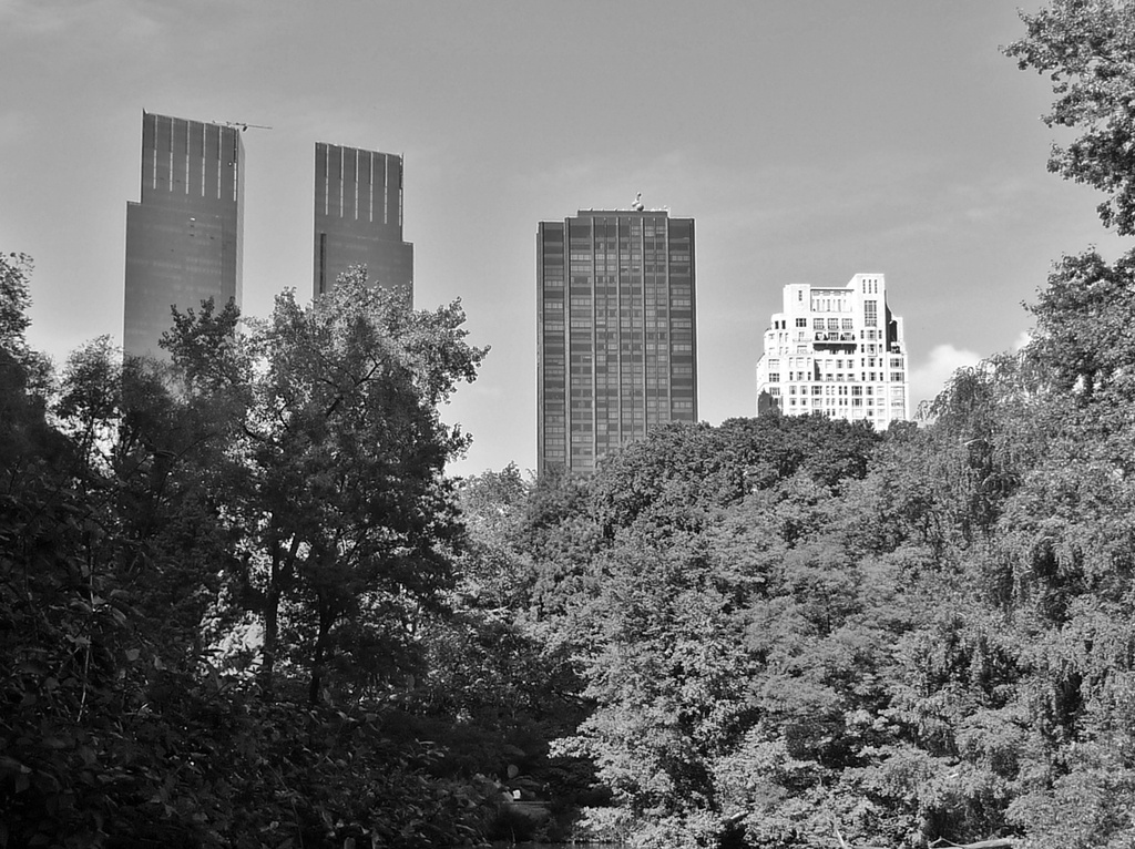 Central Park shadows - Photo #600 by soboy5