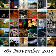 30th Nov 2013 - 30th November 2013 - Mosaic