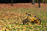 29th Nov 2013 - Small Yellow Bike