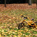 Small Yellow Bike by emma1231