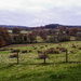 Stourhead landscape - 01-12 by barrowlane