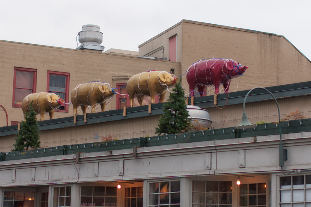 The Holiday Pigs Are Ready To  Light Up  December At The Market. by seattle