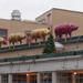 The Holiday Pigs Are Ready To  Light Up  December At The Market. by seattle