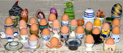 28th Nov 2013 - Mundane Eggs Class Photo