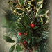 Happy Holly Days! by calm