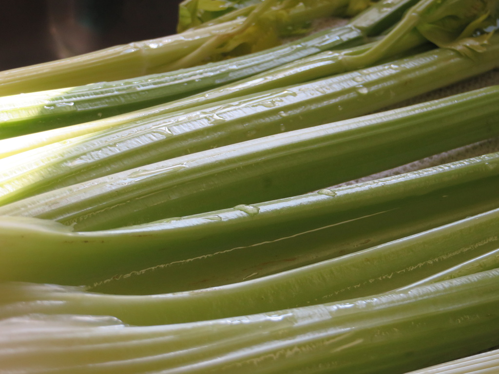 Celery - before it became turkey stuffing by rosiekerr