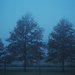 Misty Blue Morn by genealogygenie