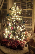 2nd Dec 2013 - Oh Christmas Tree