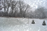 2nd Dec 2013 - Snowfall