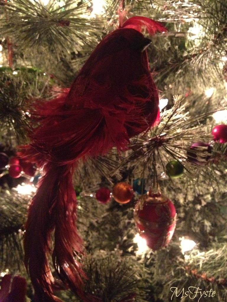 Christmas Cardinal by msfyste