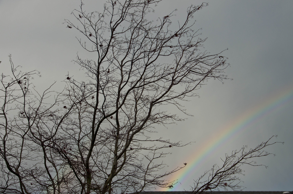Stormy Rainbow by vickisfotos