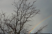 2nd Dec 2013 - Stormy Rainbow