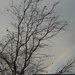 Stormy Rainbow by vickisfotos