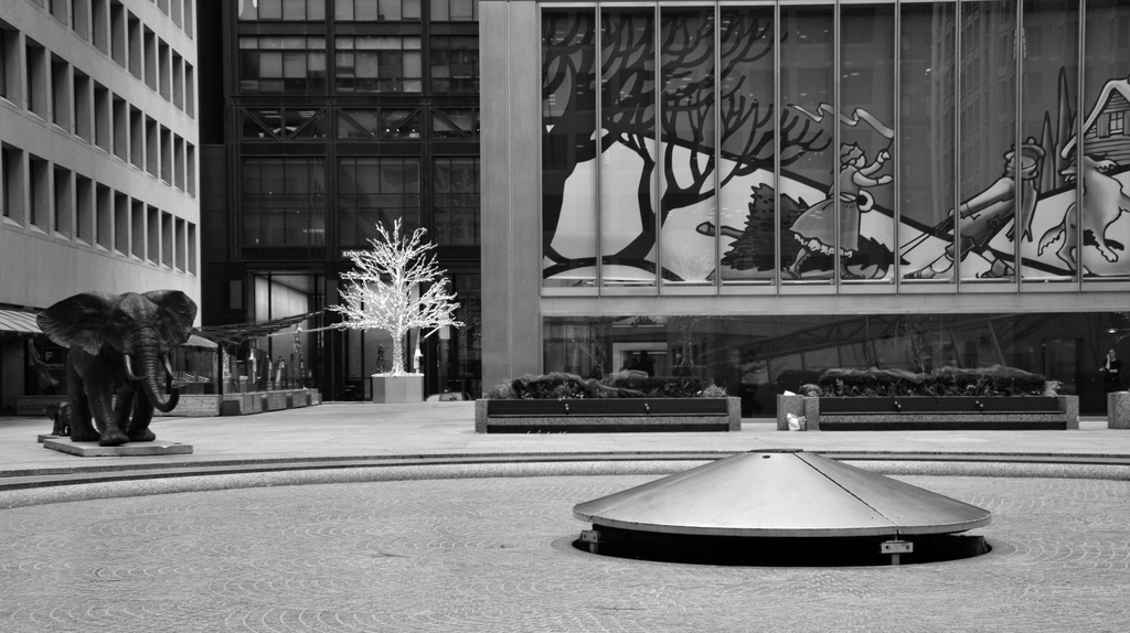 one night stand #6 - black and white shot - the mother ship by summerfield