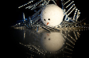 2nd Dec 2013 - "I see Me!!" said the snowman!!