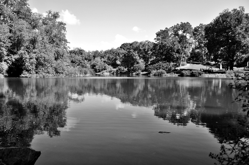 Reflecting on a pond (b&w) by soboy5