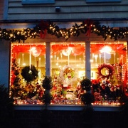 3rd Dec 2013 - Flower shop window, Charleston SC