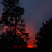 Fiery sunset by danette