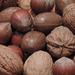 Nuts by gladogfrisk