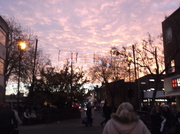 30th Nov 2013 - A great sky 