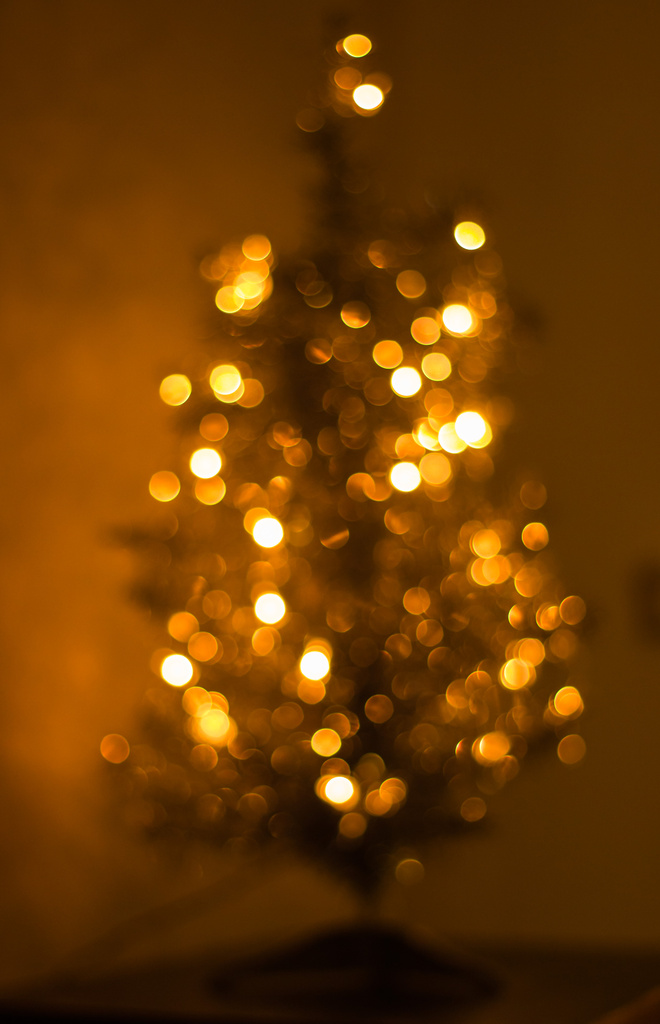 Golden Coin Tree by rayas