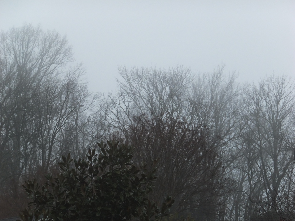 Much Mist by linnypinny