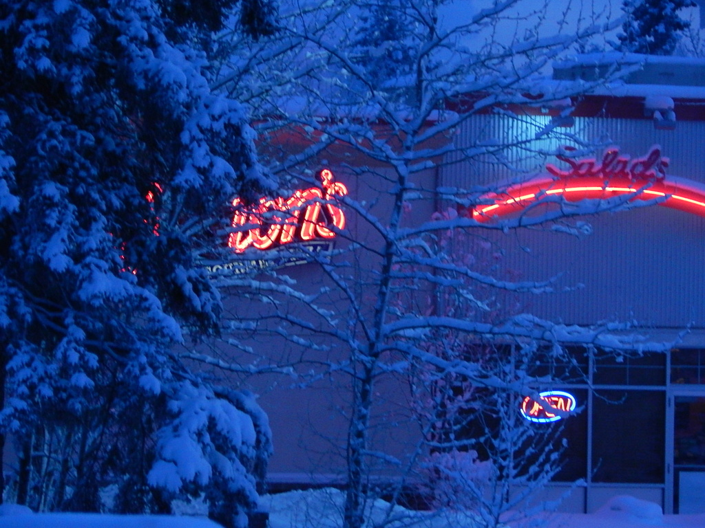 Blue December Afternoon in Fairbanks by bjywamer